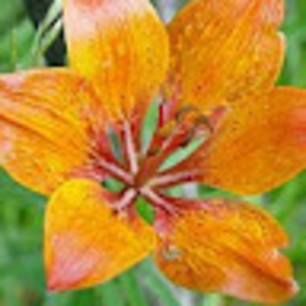 Meet your Posher, Michelle